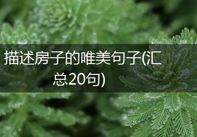 描述房子的唯美句子(汇总20句)