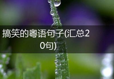 搞笑的粤语句子(汇总20句)