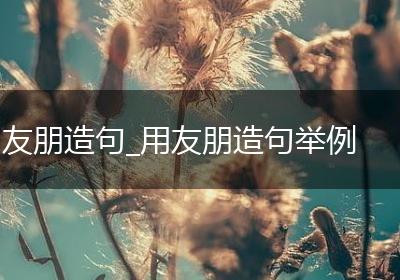 友朋造句_用友朋造句举例