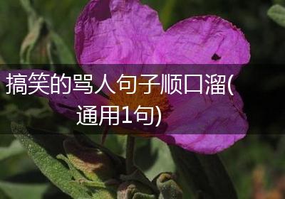 搞笑的骂人句子顺口溜(通用1句)