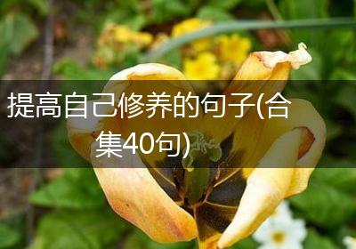 提高自己修养的句子(合集40句)