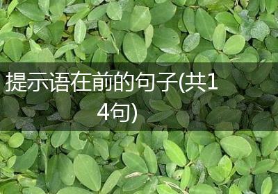 提示语在前的句子(共14句)