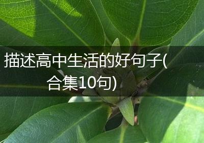 描述高中生活的好句子(合集10句)