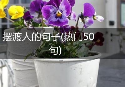摆渡人的句子(热门50句)
