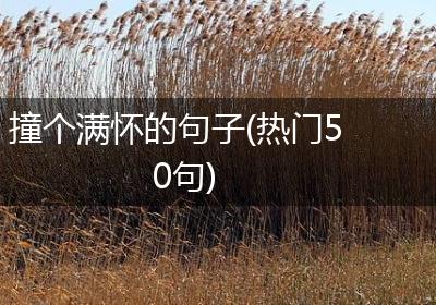 撞个满怀的句子(热门50句)