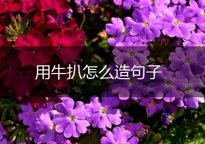 用牛扒怎么造句子