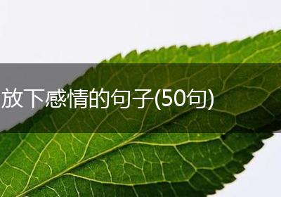 放下感情的句子(50句)