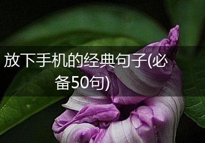 放下手机的经典句子(必备50句)