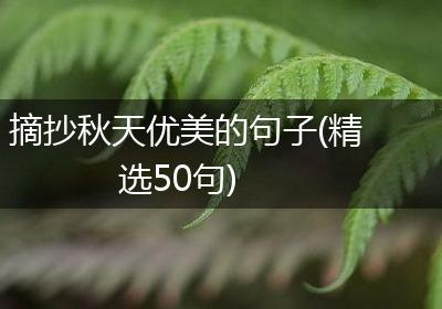 摘抄秋天优美的句子(精选50句)