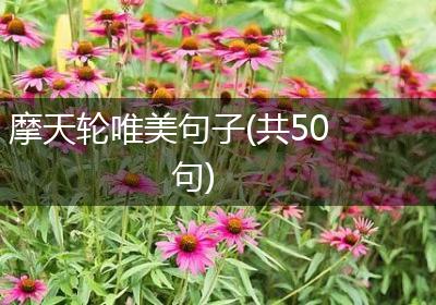 摩天轮唯美句子(共50句)