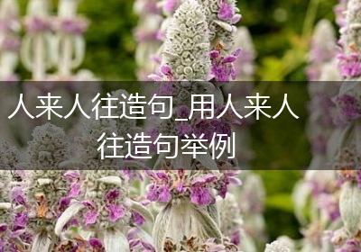 人来人往造句_用人来人往造句举例