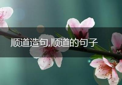 顺道造句,顺道的句子