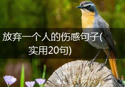 放弃一个人的伤感句子(实用20句)