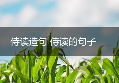 侍读造句 侍读的句子