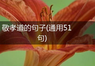 敬孝道的句子(通用51句)