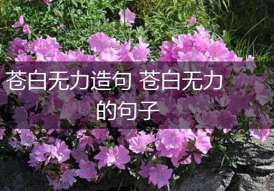 苍白无力造句 苍白无力的句子