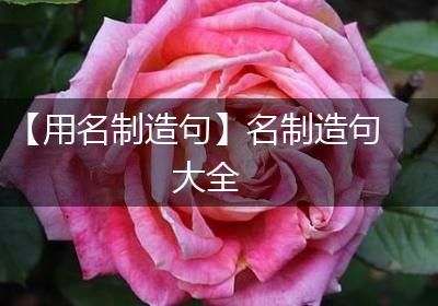 【用名制造句】名制造句大全