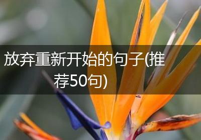 放弃重新开始的句子(推荐50句)
