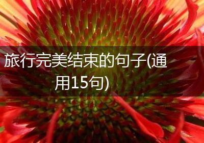 旅行完美结束的句子(通用15句)