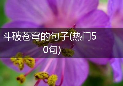 斗破苍穹的句子(热门50句)