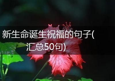 新生命诞生祝福的句子(汇总50句)