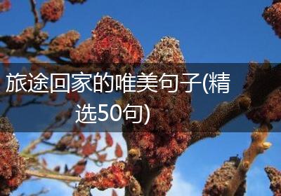 旅途回家的唯美句子(精选50句)