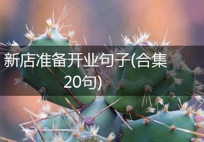 新店准备开业句子(合集20句)
