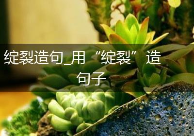 绽裂造句_用“绽裂”造句子