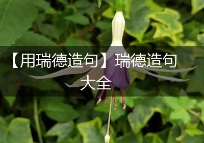 【用瑞德造句】瑞德造句大全