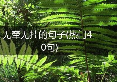 无牵无挂的句子(热门40句)