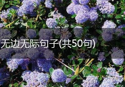 无边无际句子(共50句)