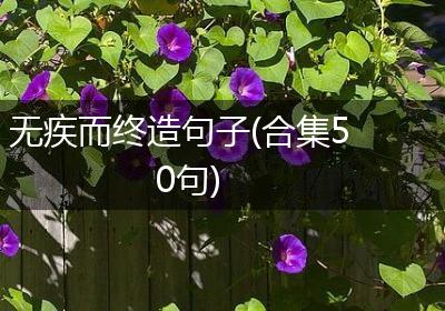 无疾而终造句子(合集50句)