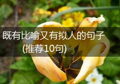 既有比喻又有拟人的句子(推荐10句)