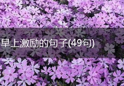 早上激励的句子(49句)