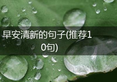 早安清新的句子(推荐10句)