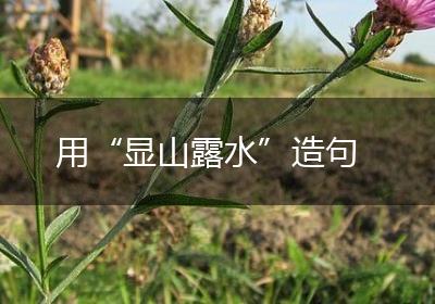 用“显山露水”造句