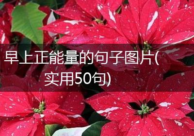 早上正能量的句子图片(实用50句)