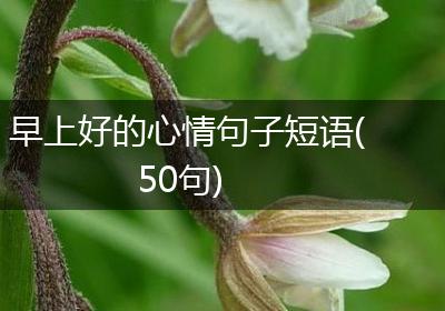 早上好的心情句子短语(50句)