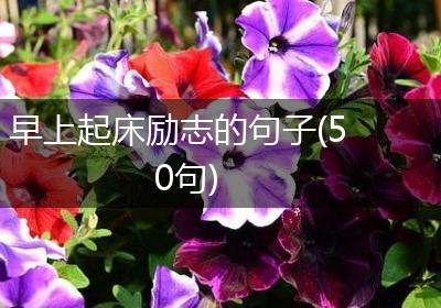 早上起床励志的句子(50句)