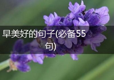 早美好的句子(必备55句)