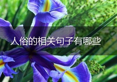 人俗的相关句子有哪些