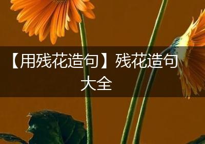 【用残花造句】残花造句大全