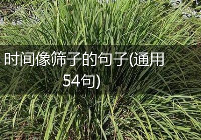 时间像筛子的句子(通用54句)