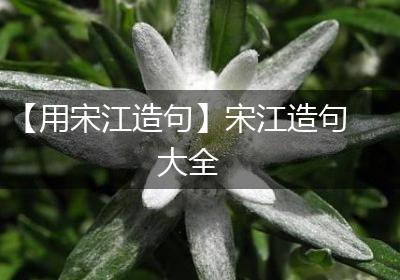 【用宋江造句】宋江造句大全