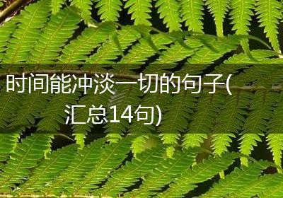 时间能冲淡一切的句子(汇总14句)