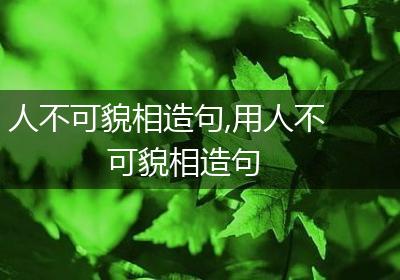 人不可貌相造句,用人不可貌相造句