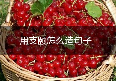 用支颐怎么造句子