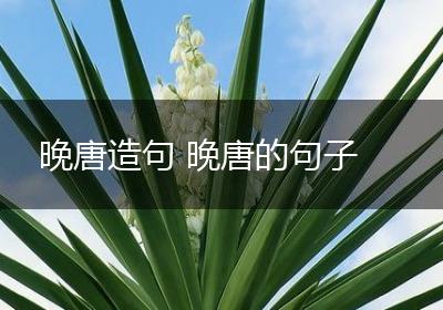 晚唐造句 晚唐的句子