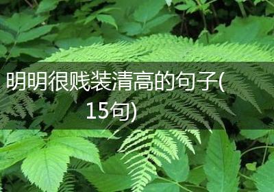 明明很贱装清高的句子(15句)