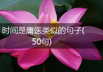 时间是庸医类似的句子(50句)